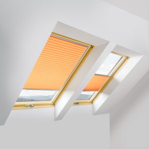 Fakro APS/A II