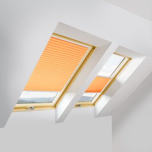 Fakro APS/W II